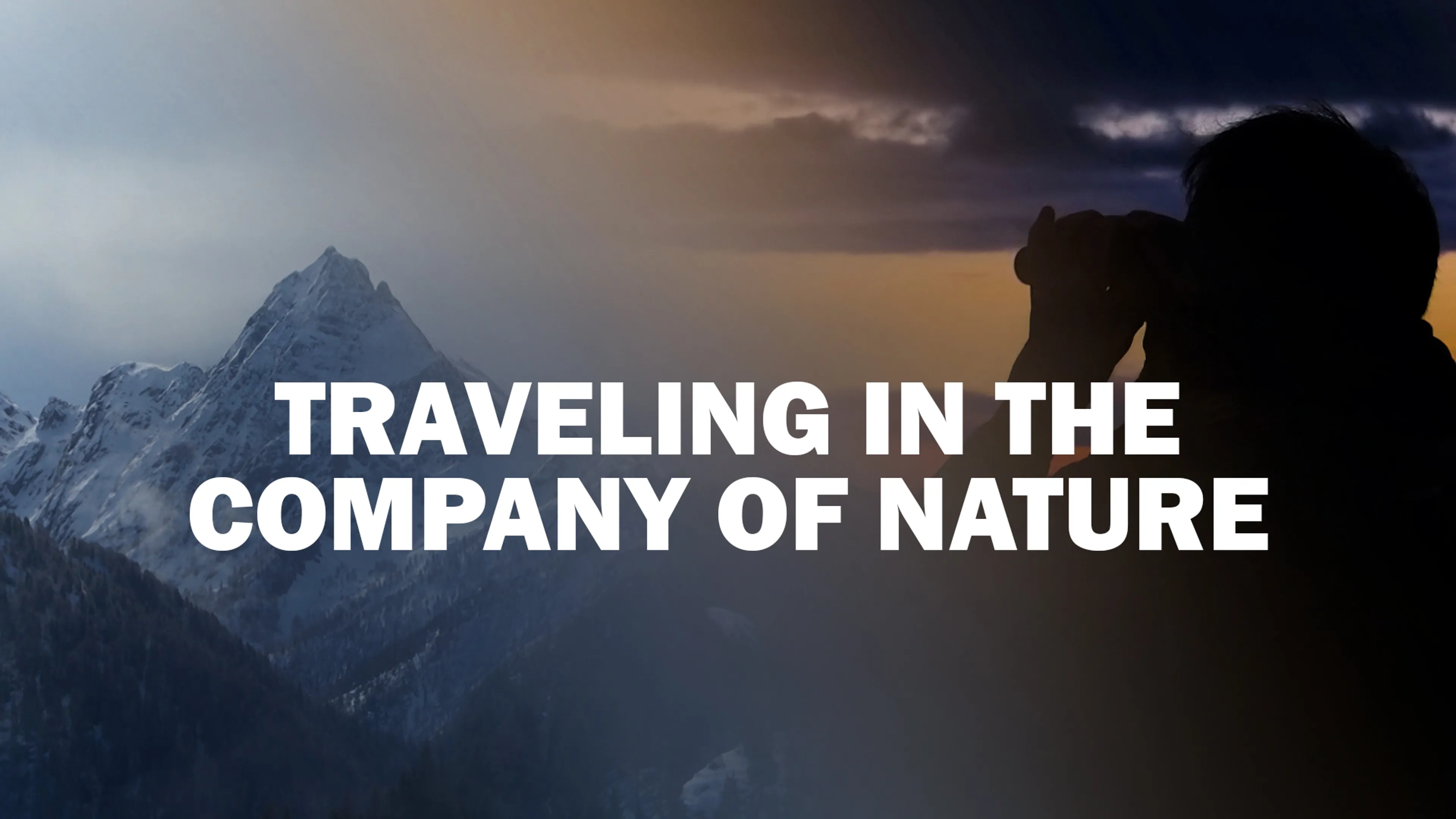 Traveling in the Company of Nature poster